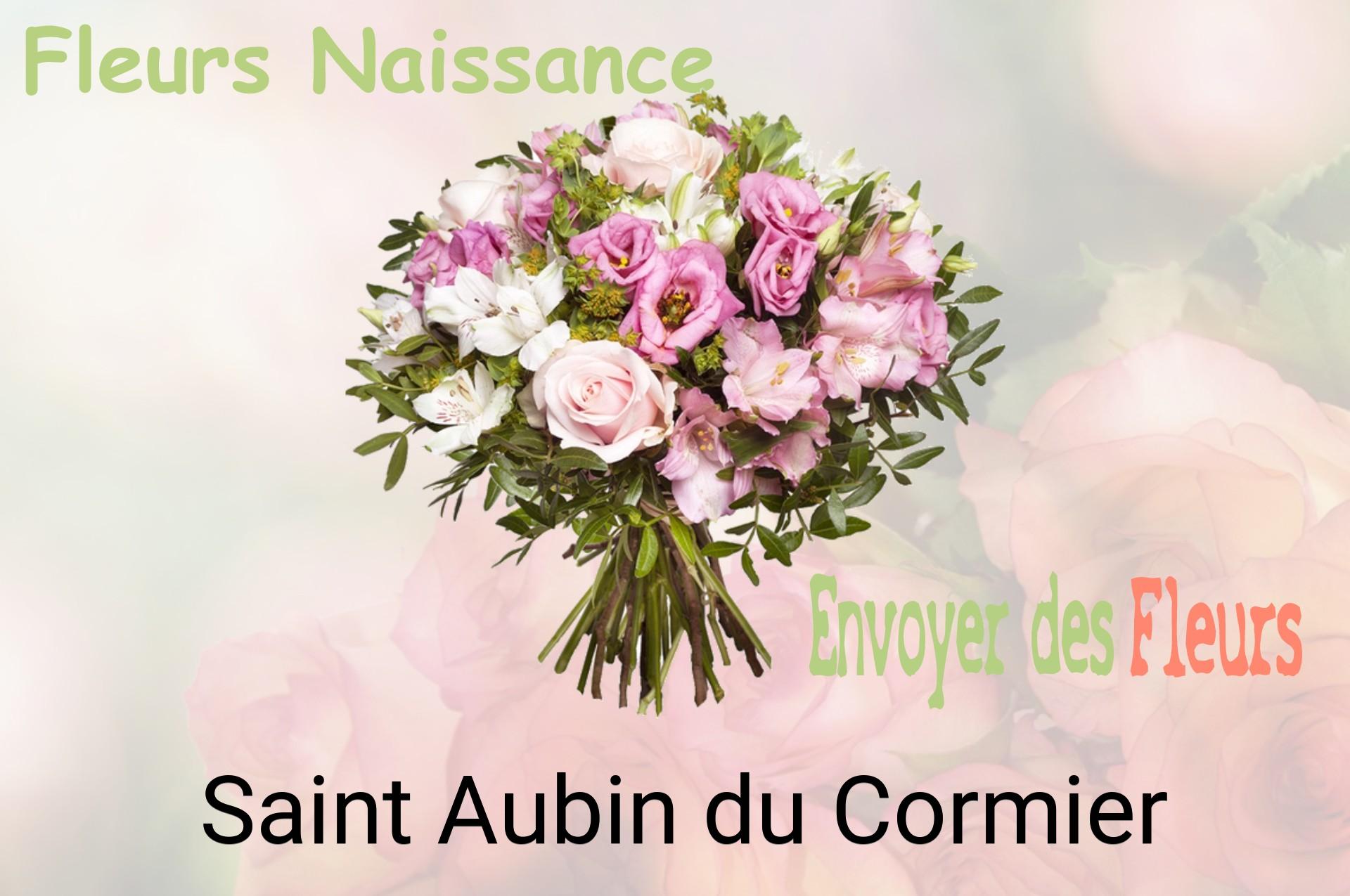 Bouquet de fleurs de naissance livré à Saint-Aubin-du-Cormier